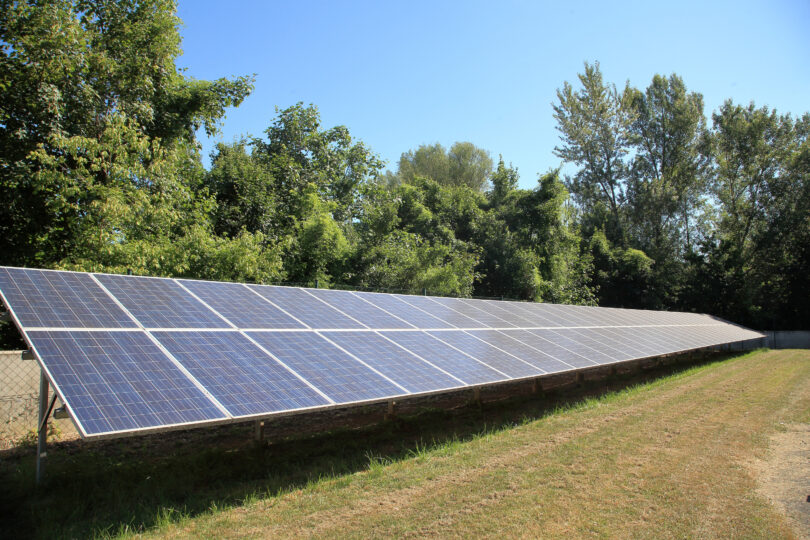Reihe von Solarpaneelen auf einer Wiese am Waldrand bei sonnigem Wetter. Die Module sind in einem leichten Winkel montiert und reflektieren das Sonnenlicht, im Hintergrund stehen dichte grüne Bäume.