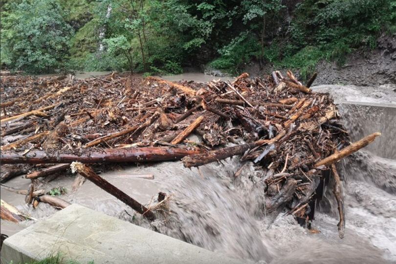 Ein reißender Bach transportiert große Mengen Treibholz und Äste, die sich an einer Barriere stauen. Das Wasser ist braun und schlammig, die Umgebung besteht aus nassem Gestein und dichtem Grün.