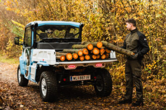 Ein Nutzfahrzeug mit Baumstämmen wird von einer Person beladen.
