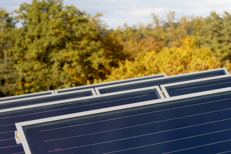 Solarmodule in Nahaufnahme, die auf einem offenen Feld installiert sind, mit einer Kulisse aus herbstlich gefärbten Bäumen. Die Kombination aus nachhaltiger Energie und natürlicher Umgebung vermittelt einen umweltfreundlichen Eindruck.