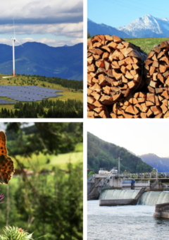 Eine Collage mit vier Bildern, die verschiedene nachhaltige Ressourcen und Naturlandschaften zeigen: Oben links Windräder und ein Solarfeld auf einem grünen Hügel vor einer Bergkulisse, oben rechts gestapelte Holzscheite mit schneebedeckten Bergen im Hintergrund, unten links ein Schmetterling auf einer lila Blume in einer idyllischen Naturkulisse und unten rechts ein Wasserkraftwerk mit einem Fluss in einer bergigen Landschaft.