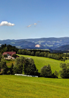 Eine idyllische Landschaft mit grünen Wiesen, vereinzelten Bäumen und einem Bauernhaus, umgeben von sanften Hügeln. Im Hintergrund erstrecken sich bewaldete Berge unter einem klaren, blauen Himmel mit wenigen Wolken.