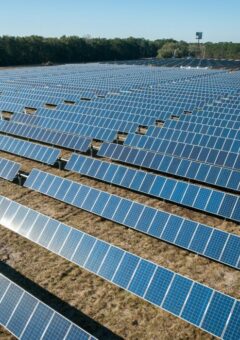 Ein großes Solarfeld mit hunderten von Solarmodulen, die in ordentlichen Reihen aufgestellt sind und das Sonnenlicht reflektieren. Das Feld liegt auf trockenem Grasland, umgeben von einem Wald im Hintergrund unter einem klaren blauen Himmel.