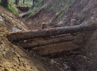 Eine natürliche Erosionsschutzmaßnahme im Wald, bestehend aus quer über einen Hanggraben gelegten Baumstämmen. Die Stämme sind an Pfählen befestigt, um das Abrutschen von Erde und Steinen zu verhindern. Der Boden zeigt Anzeichen von Regenabfluss, während der Hintergrund von dichtem Baumbestand und grünem Moos auf den Hangwänden geprägt ist.