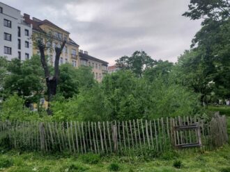 Ein eingezäuntes Areal mit dichtem Strauch- und Baumwachstum inmitten einer städtischen Grünanlage. Der Zaun besteht aus schlichten Holzlatten, und im Hintergrund sind mehrstöckige Wohnhäuser mit klassischer Architektur zu sehen. Ein großer Baumstumpf mit neuen Trieben deutet auf einen beschnittenen Baum hin. Die bewölkte Himmelkulisse verleiht der Szene eine ruhige, naturverbundene Atmosphäre.