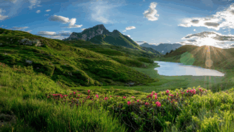 Ein malerisches Alpenpanorama mit sanft geschwungenen, saftig grünen Hügeln, einem klaren Bergsee und einer dramatischen Bergkulisse im Hintergrund. Die Sonne geht hinter einem Hügel unter und wirft goldene Strahlen über die Landschaft. Im Vordergrund blühen leuchtend pinke Alpenrosen, die dem Bild farbliche Akzente verleihen. Der Himmel ist mit vereinzelten Wolken geschmückt und verstärkt die idyllische Stimmung.