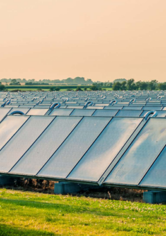 Ein großes Feld mit Solarkollektoren, die in Reihen aufgestellt sind und sich bis zum Horizont erstrecken. Die Umgebung ist von grüner Landschaft und Bäumen geprägt, während der Himmel einen warmen, orangefarbenen Ton aufweist, der auf Sonnenuntergang oder -aufgang hindeutet.