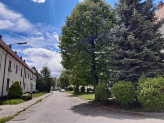 Eine ruhige Wohnsiedlung mit zweistöckigen, weißen Häusern mit roten Ziegeldächern an einem sonnigen Tag. Die Straße ist schmal und von Bäumen und gepflegten Büschen gesäumt. Links stehen die Häuser in einer Reihe, rechts befindet sich eine Grünfläche mit verschiedenen Bäumen, darunter ein großer Laubbaum und eine Tanne. Ein Auto steht am Straßenrand, der Himmel ist blau mit einigen weißen Wolken.