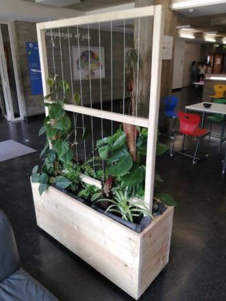 Ein selbstgebautes, vertikales Pflanzmodul aus hellem Holz steht in einem modernen Schulflur. Es besteht aus einem rechteckigen Pflanzkasten mit Rankhilfe aus gespannten Seilen, an denen verschiedene Zimmerpflanzen wie Efeutute, Grünlilie und andere tropische Pflanzen emporklettern oder wachsen. Im Hintergrund sind bunte Stühle und Tische, ein Kunstwerk an der Wand sowie Schüler*innen in der Ferne zu sehen. Die Atmosphäre ist hell, offen und freundlich – das Begrünungssystem dient wahrscheinlich als Raumteiler, Luftverbesserung und gestalterisches Element im Schulalltag.