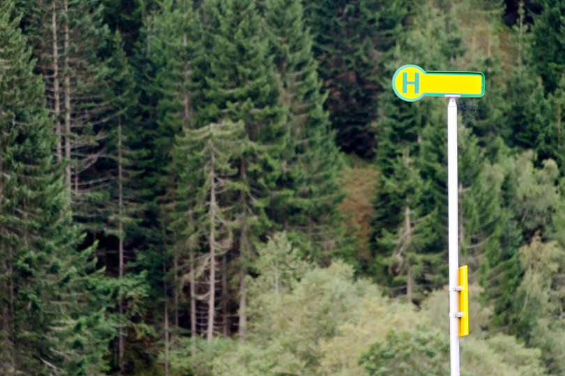 Eine leere Bushaltestelle vor einem Wald.