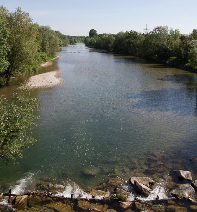 Ein breiter, ruhiger Fluss schlängelt sich durch eine grüne Auenlandschaft mit dichtem Baumbewuchs an beiden Ufern. Im Vordergrund ist eine kleine Steinbarriere im Wasser zu sehen, über die das Wasser sanft abfließt. Der Himmel ist klar und blau, ein Strommast am rechten Bildrand weist auf nahe Infrastruktur hin.