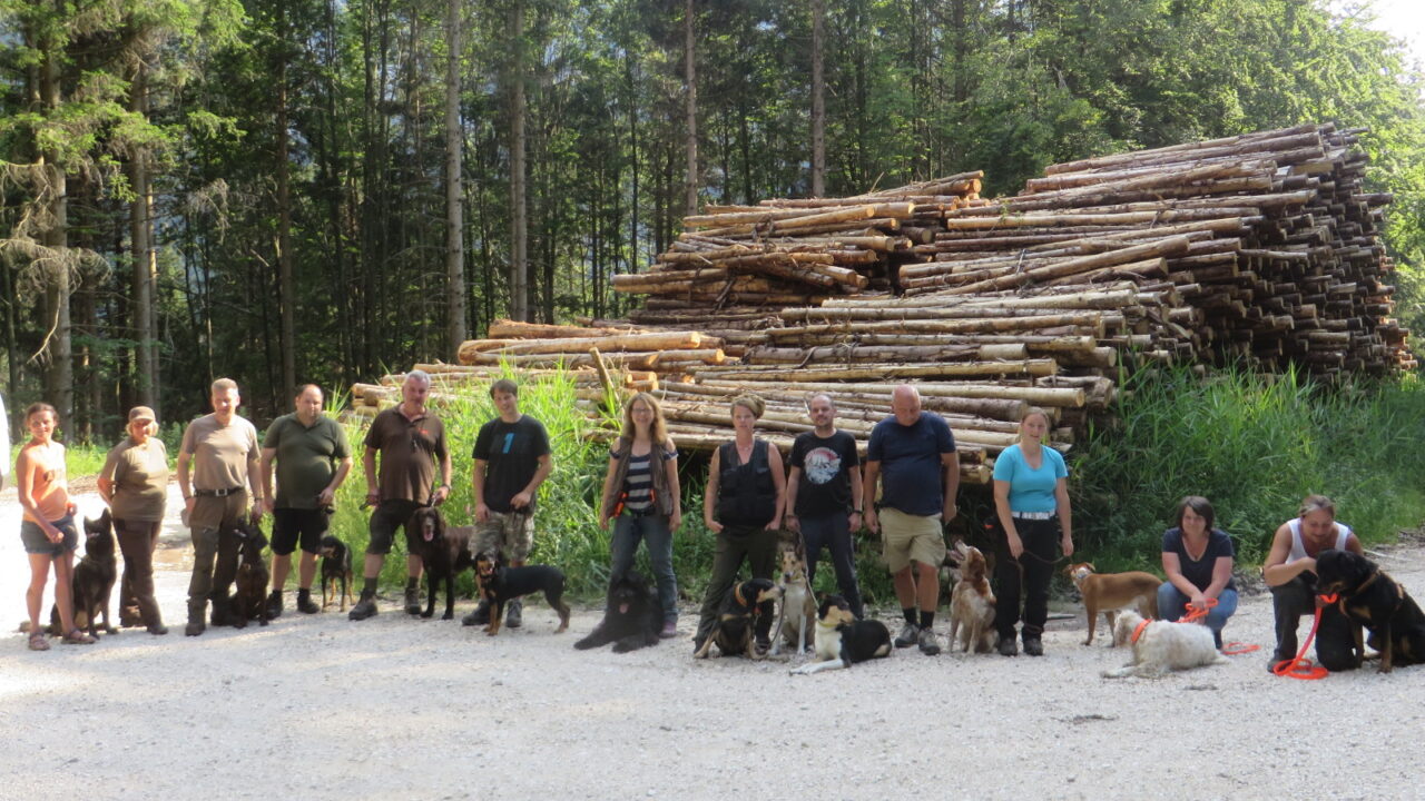 Borkenkäferspürhundeteam