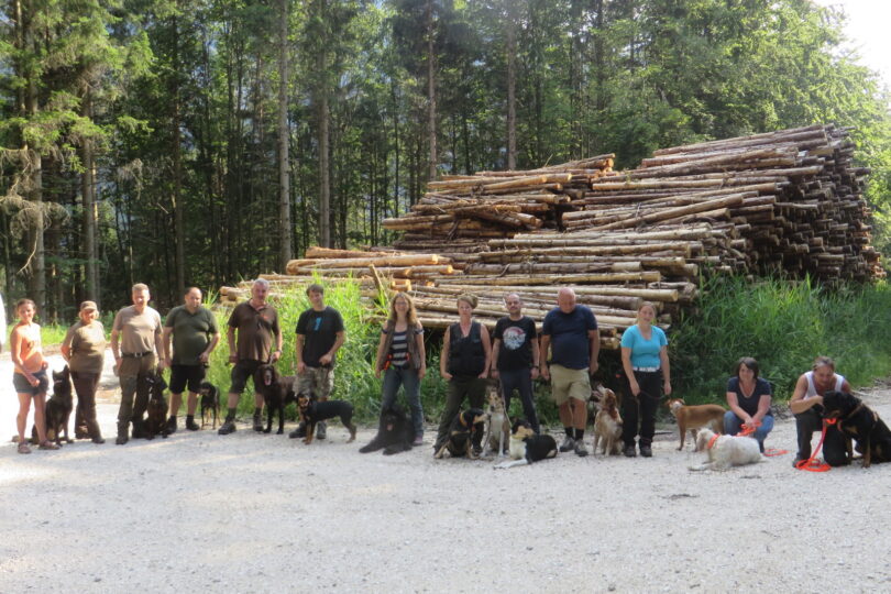 Borkenkäferspürhundeteam