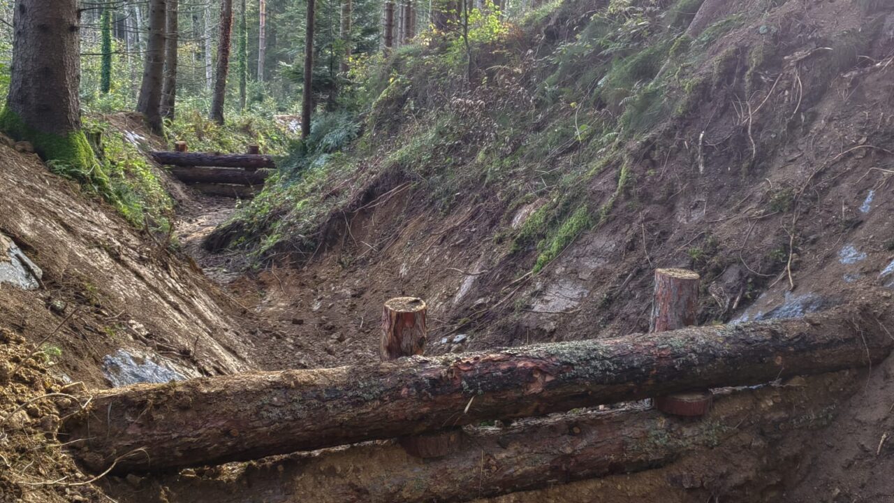 Kleinrückhaltebecken In Hochneukirchen