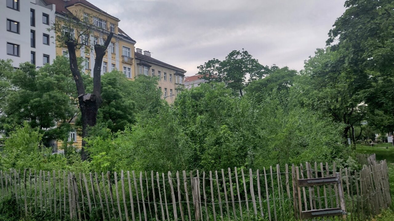 Wald In Wien