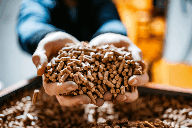 Man sieht zwei Hände, die eine Hand voll Pellets halten.