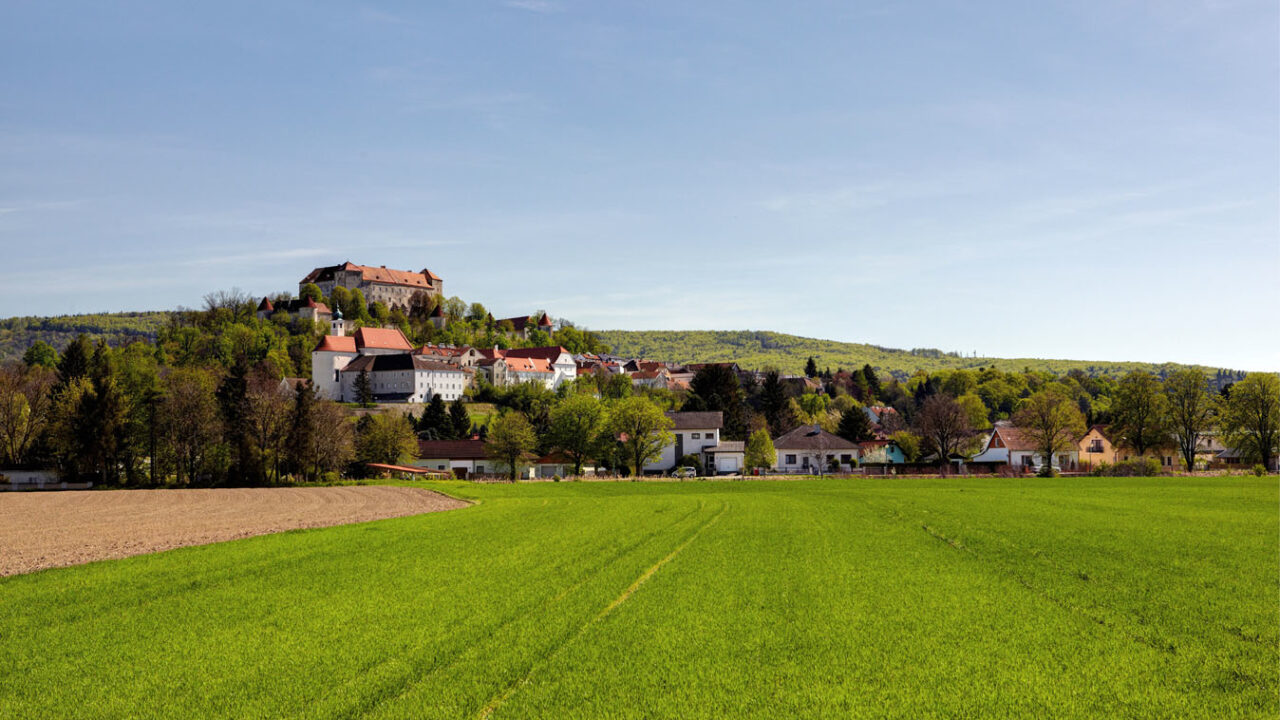 Landschaft der KEM Wienerwald mit grüner Wiese