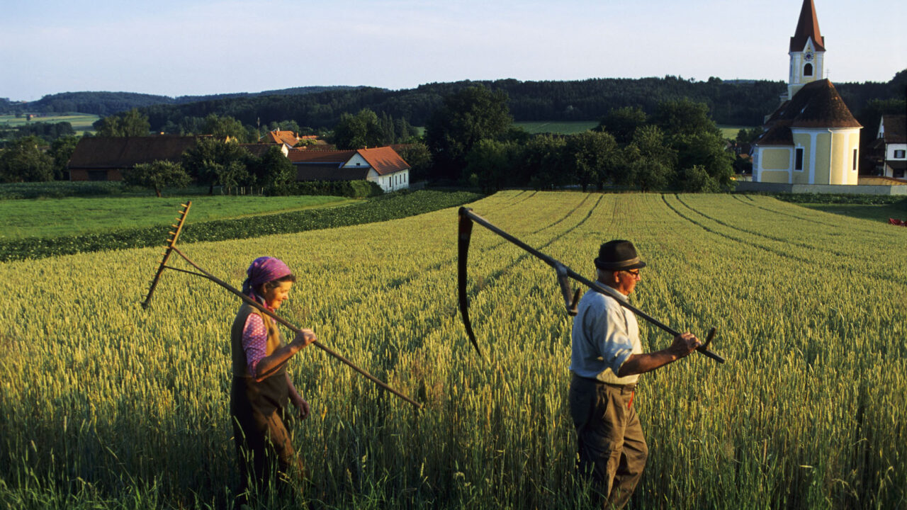 Zwei Landwirte am Feld