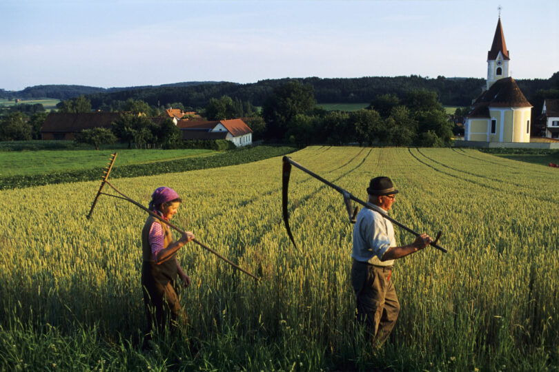 Zwei Landwirte am Feld