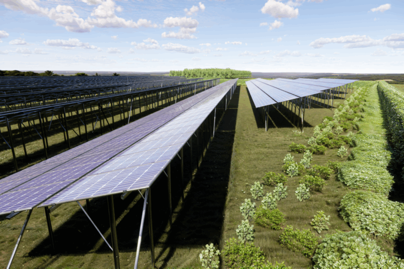 Luftaufnahme von mehreren Reihen aufgeständerter Solarmodule neben einem Feld mit grünen Pflanzen unter blauem Himmel mit Wolken.