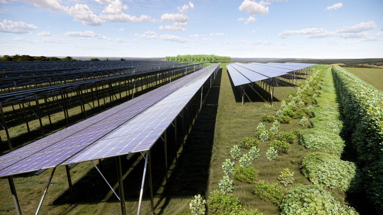 Luftaufnahme von mehreren Reihen aufgeständerter Solarmodule neben einem Feld mit grünen Pflanzen unter blauem Himmel mit Wolken.
