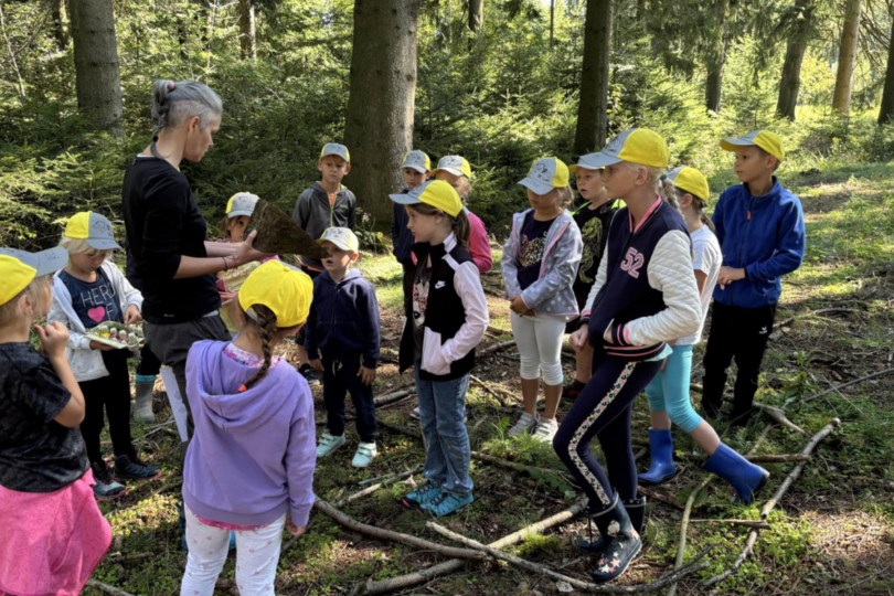 Kinder beim Programm im Wald