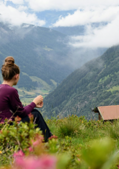 Frau mit hochgestecktem Haar sitzt auf einer Wiese und blickt auf ein Tal mit Bergen und einem Haus mit rotem Dach.