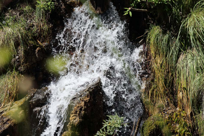 Foto: Ein Bach im Wald in Nahaufnahme.